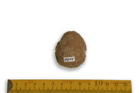 F 03904
<br/>
<br/>
<em></em>